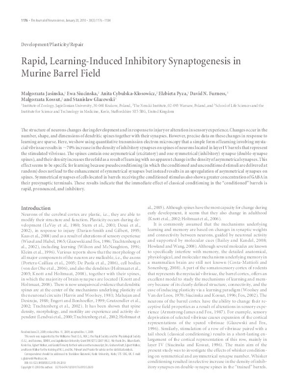 Rapid, learning-induced inhibitory synaptogenesis in murine barrel field Thumbnail