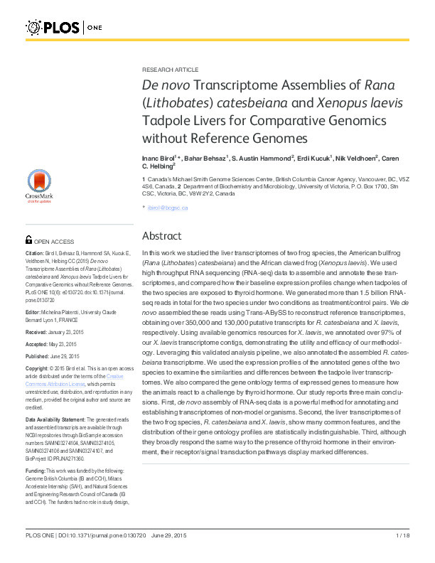 De novo Transcriptome Assemblies of Rana (Lithobates) catesbeiana and Xenopus laevis Tadpole Livers for Comparative Genomics without Reference Genomes Thumbnail