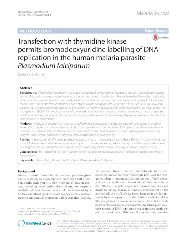 Transfection with thymidine kinase permits bromodeoxyuridine labelling of DNA replication in the human malaria parasite Plasmodium falciparum Thumbnail
