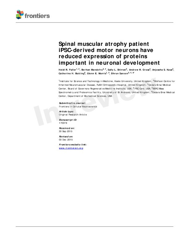 Spinal muscular atrophy patient iPSC-derived motor neurons have reduced expression of proteins important in neuronal development Thumbnail