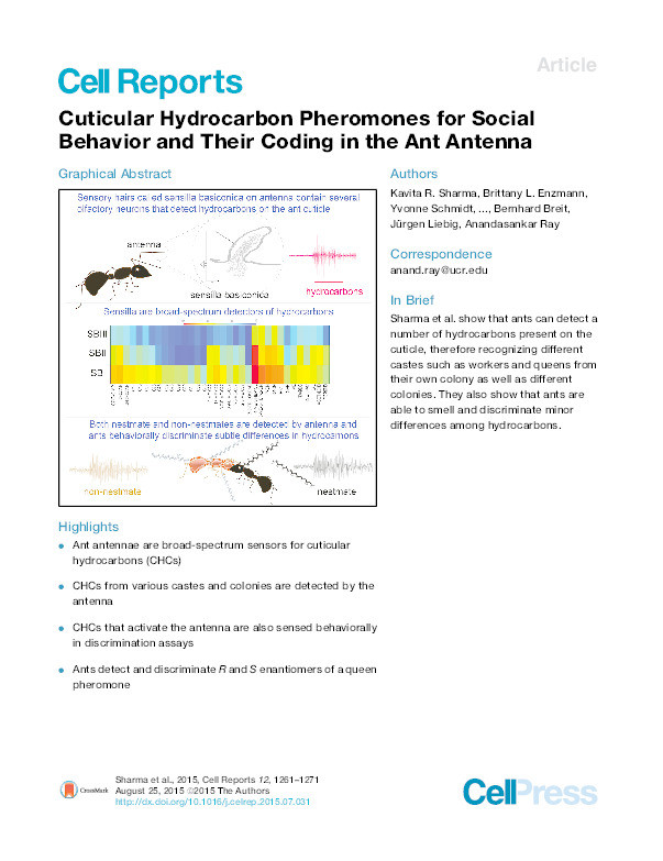 Cuticular Hydrocarbon Pheromones for Social Behavior and Their Coding in the Ant Antenna. Thumbnail