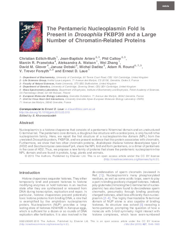 The pentameric nucleoplasmin fold is present in Drosophila FKBP39 and a large number of chromatin-related proteins. Thumbnail