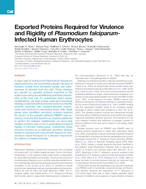 Exported proteins required for virulence and rigidity of Plasmodium falciparum-infected human erythrocytes. Thumbnail