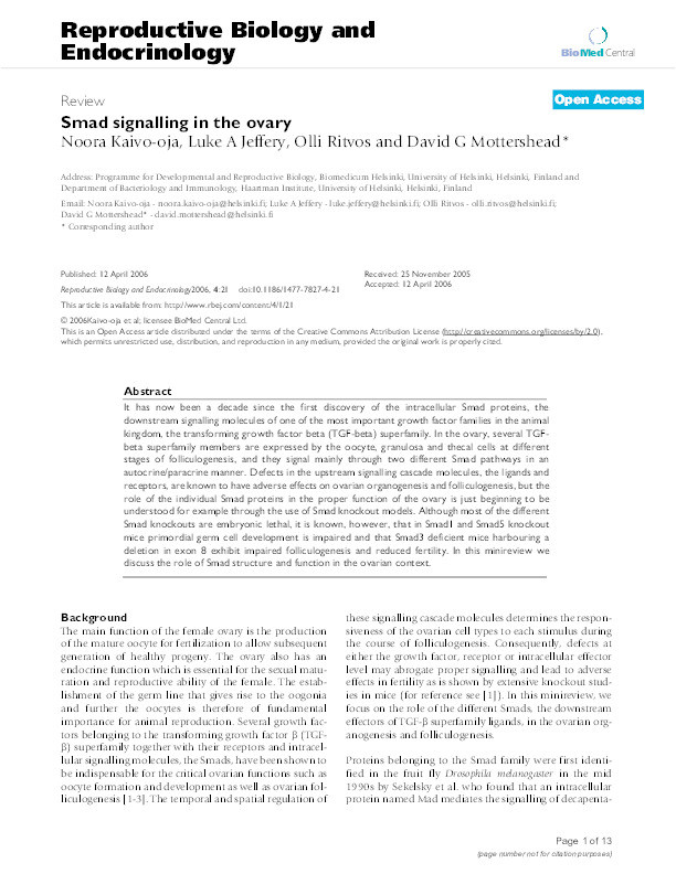 Smad signalling in the ovary Thumbnail