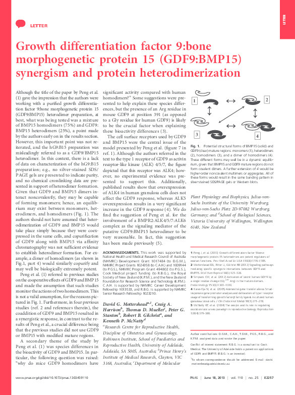 Growth differentiation factor 9: bone morphogenetic protein 15 synergism and the potential involvement of heterodimerization Thumbnail