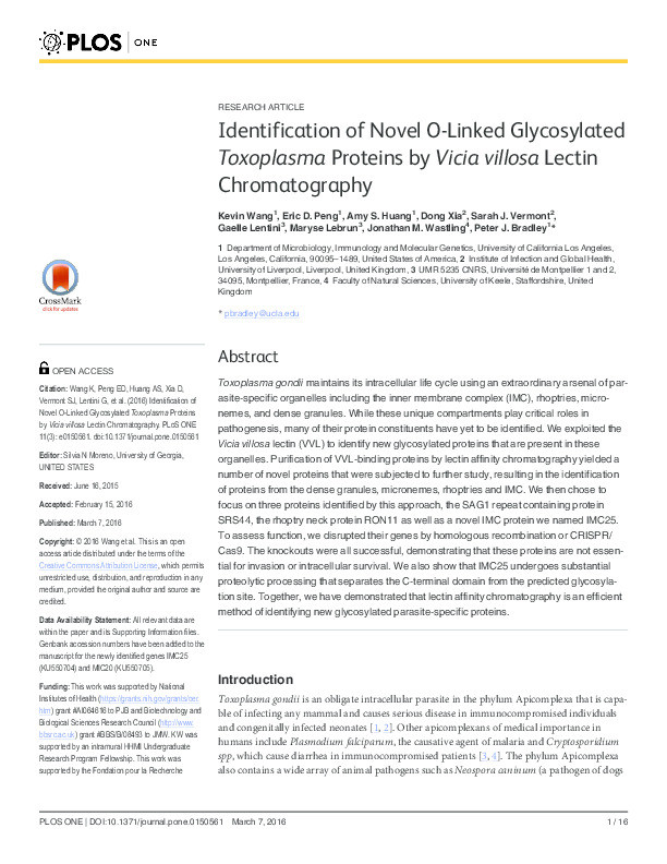 Identification of Novel O-Linked Glycosylated Toxoplasma Proteins by Vicia villosa Lectin Chromatography. Thumbnail