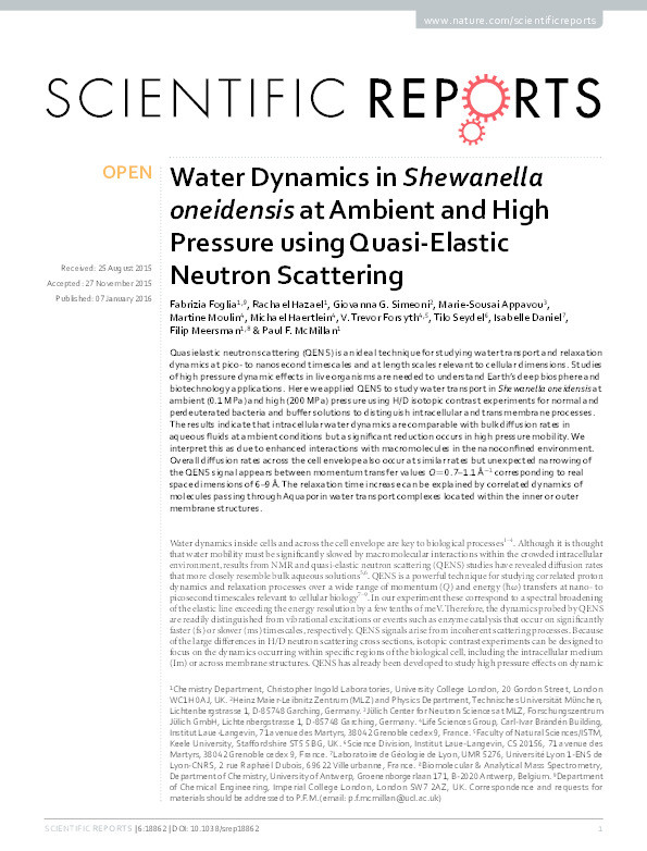 Water Dynamics in Shewanella oneidensis at Ambient and High Pressure using Quasi-Elastic Neutron Scattering Thumbnail