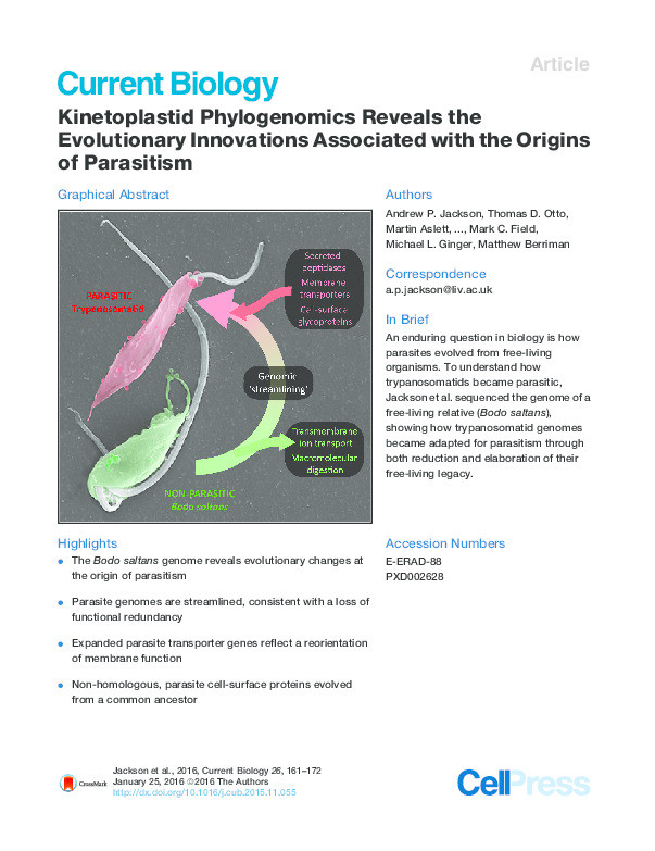 Kinetoplastid Phylogenomics Reveals the Evolutionary Innovations Associated with the Origins of Parasitism. Thumbnail