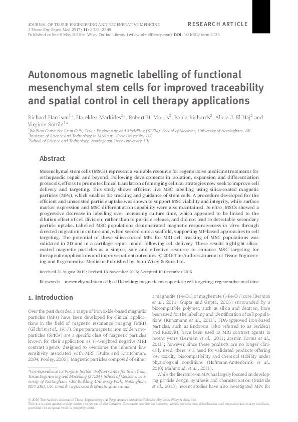 Autonomous magnetic labelling of functional mesenchymal stem cells for improved traceability and spacial control in cell therapy applications Thumbnail