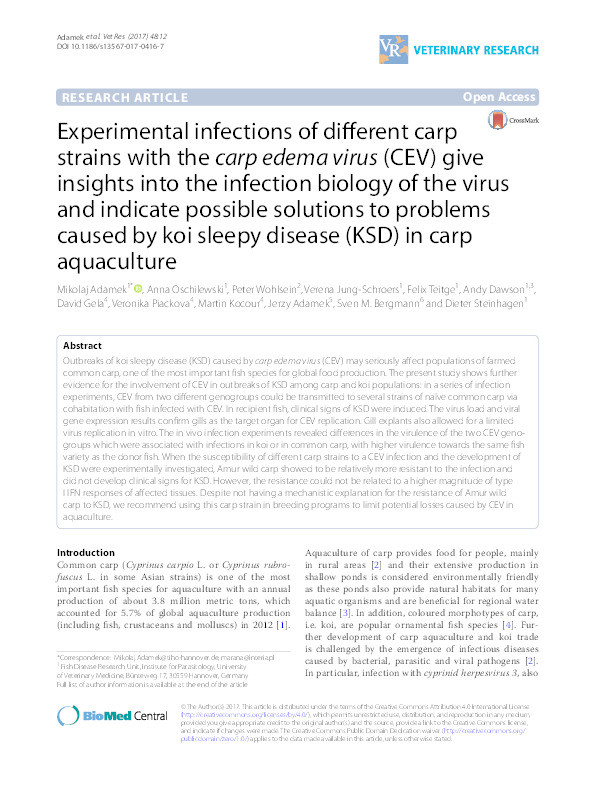 Experimental infections of different carp strains with the carp edema virus (CEV) give insights into the infection biology of the virus and indicate possible solutions to problems caused by koi sleepy disease (KSD) in carp aquaculture Thumbnail