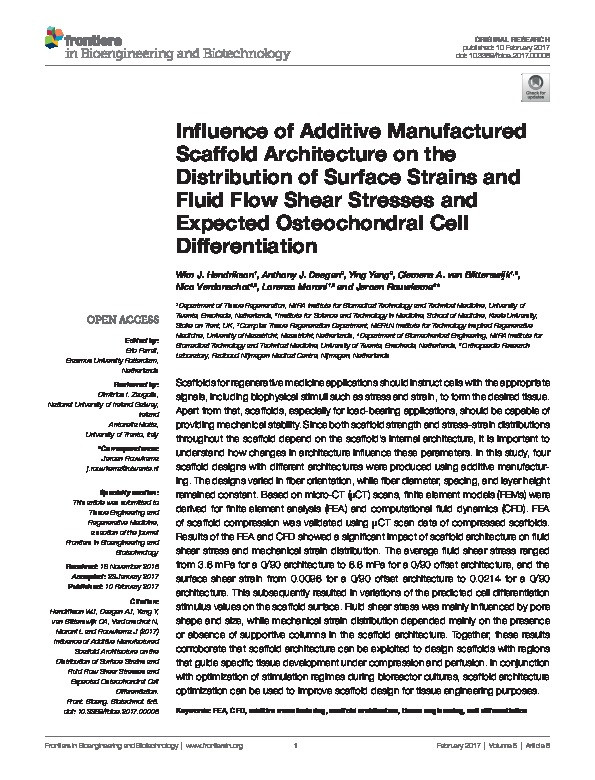 Influence of Additive Manufactured Scaffold Architecture on the Distribution of Surface Strains and Fluid Flow Shear Stresses and Expected Osteochondral Cell Differentiation Thumbnail