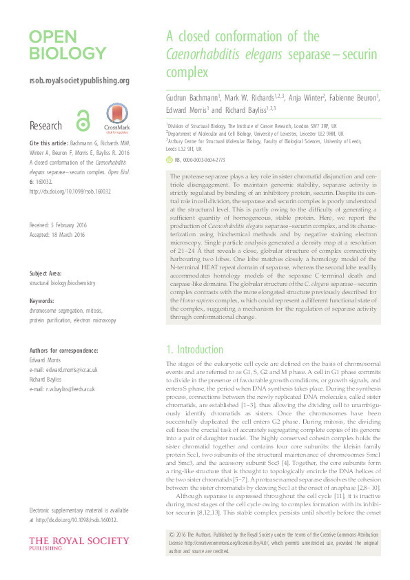 A closed conformation of the Caenorhabditis elegans separase-securin complex Thumbnail