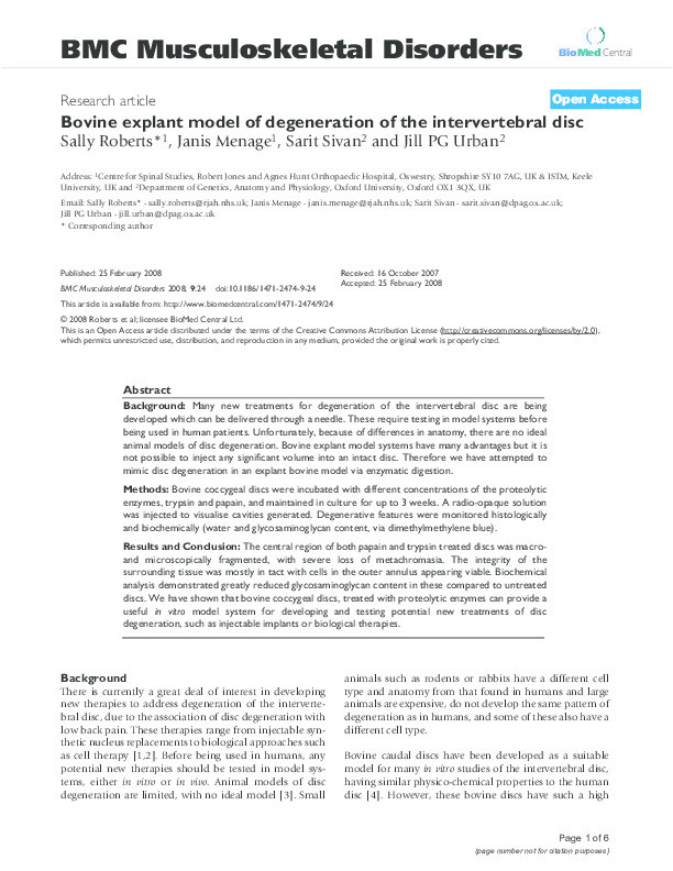 Bovine explant model of degeneration of the intervertebral disc Thumbnail