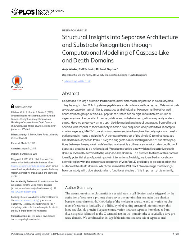 Structural Insights into Separase Architecture and Substrate Recognition through Computational Modelling of Caspase-Like and Death Domains Thumbnail