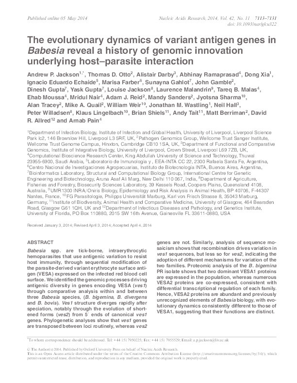 The evolutionary dynamics of variant antigen genes in Babesia reveal a history of genomic innovation underlying host-parasite interaction. Thumbnail
