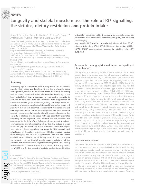 Longevity and skeletal muscle mass: the role of IGF signalling, the sirtuins, dietary restriction and protein intake Thumbnail