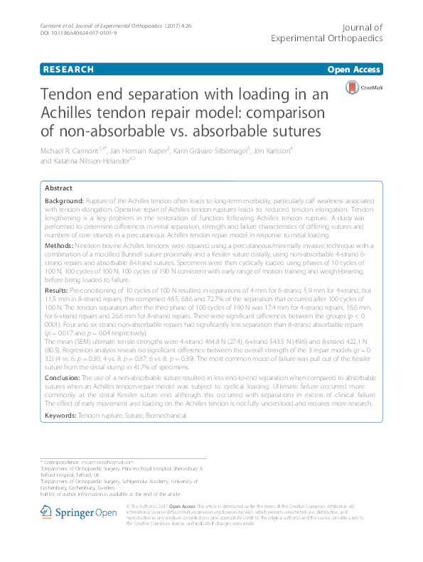 Tendon end separation with loading in an Achilles tendon repair model: comparison of non-absorbable vs. absorbable sutures Thumbnail