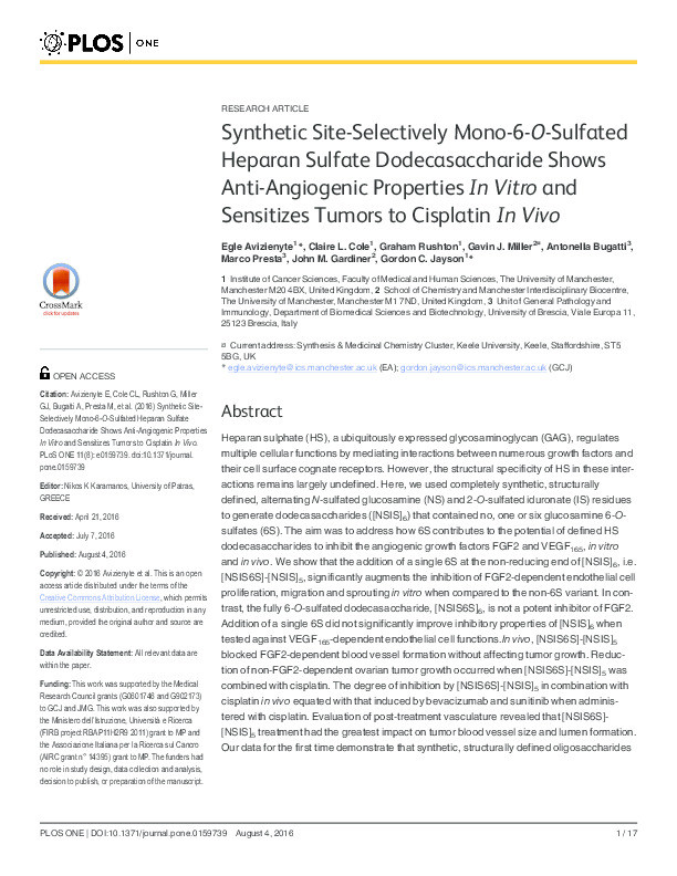 Synthetic Site-Selectively Mono-6-O-Sulfated Heparan Sulfate Dodecasaccharide Shows Anti-Angiogenic Properties In Vitro and Sensitizes Tumors to Cisplatin In Vivo Thumbnail