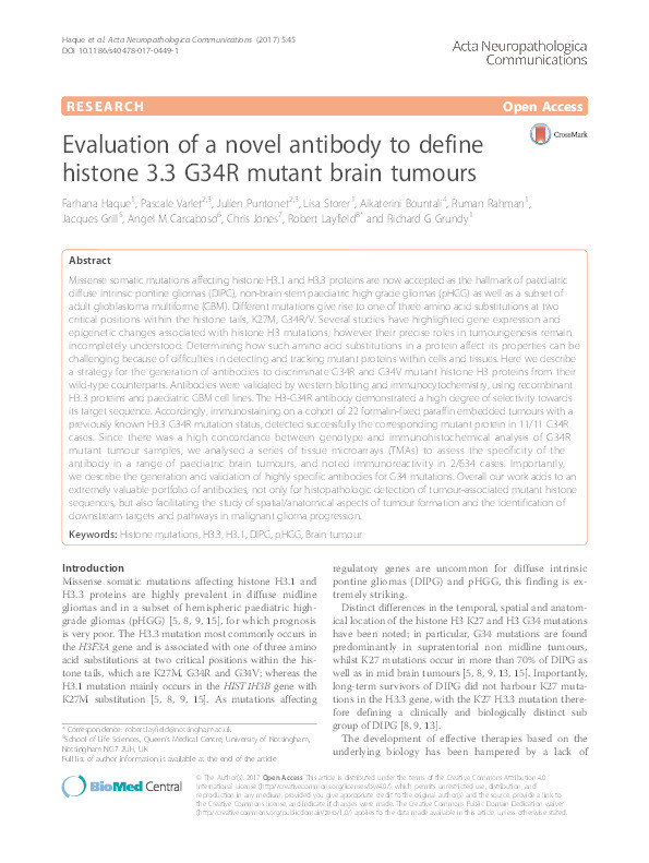 Evaluation of a novel antibody to define histone 3.3 G34R mutant brain tumours Thumbnail