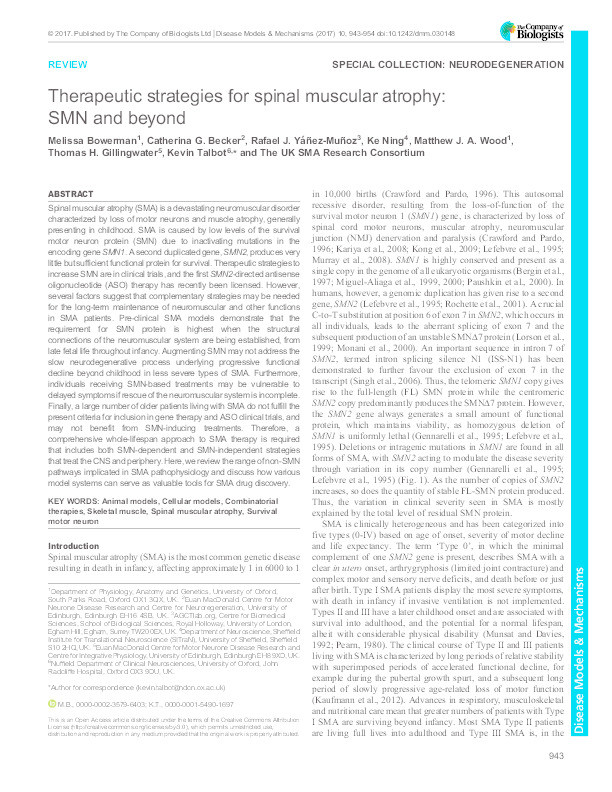 Therapeutic strategies for spinal muscular atrophy: SMN and beyond. Thumbnail