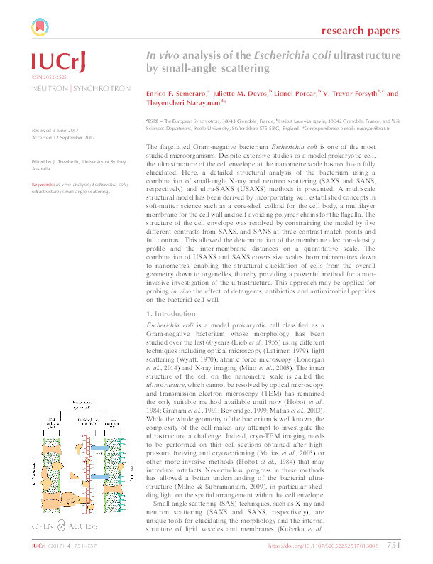 In vivo analysis of the Escherichia coli ultrastructure by small-angle scattering Thumbnail