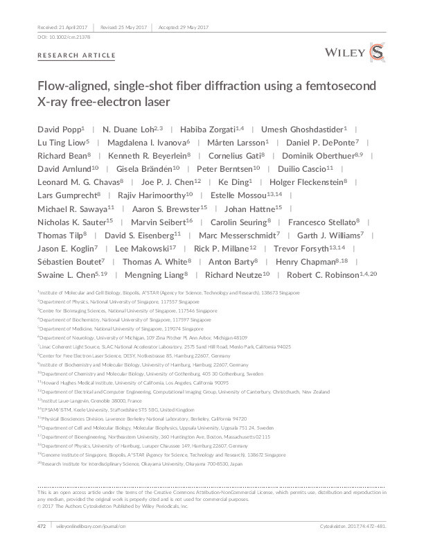 Flow-aligned, single-shot fiber diffraction using a femtosecond X-ray free-electron laser. Thumbnail