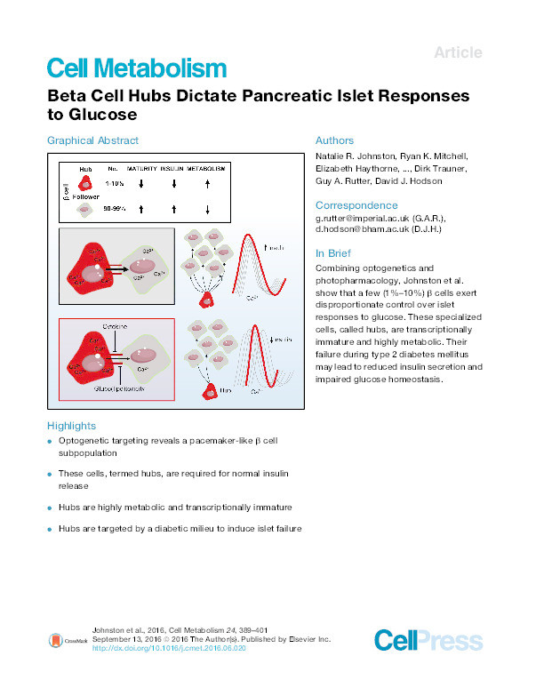 Beta Cell Hubs Dictate Pancreatic Islet Responses to Glucose Thumbnail