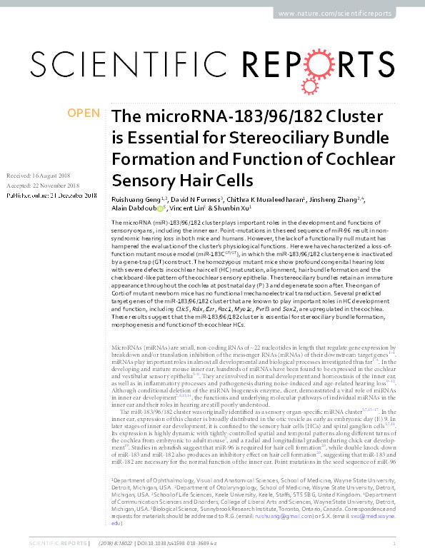 The microRNA-183/96/182 Cluster is Essential for Stereociliary Bundle Formation and Function of Cochlear Sensory Hair Cells Thumbnail