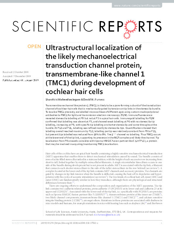 Ultrastructural localization of the likely mechanoelectrical transduction channel protein, transmembrane-like channel 1 (TMC1) during development of cochlear hair cells. Thumbnail