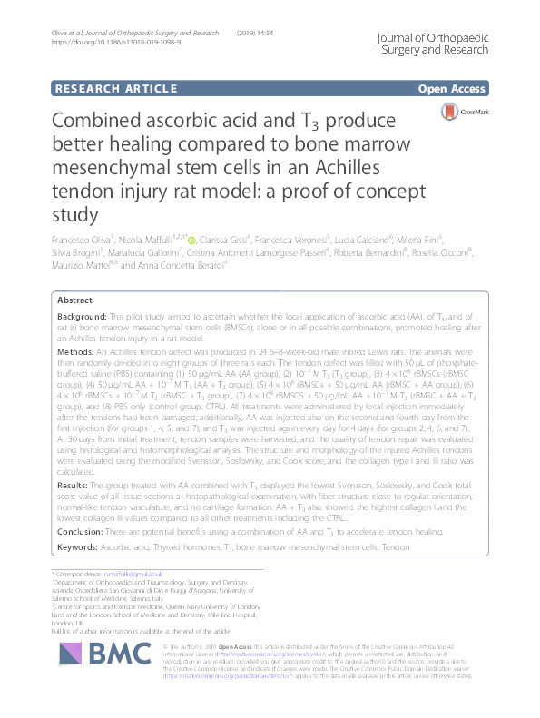 Combined ascorbic acid and T3 produce better healing compared to bone marrow mesenchymal stem cells in an Achilles tendon injury rat model: a proof of concept study. Thumbnail