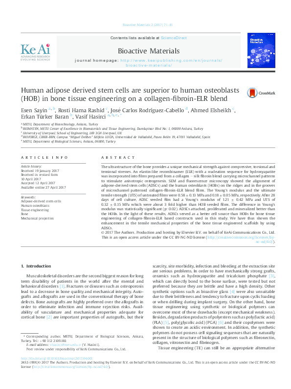 Human adipose derived stem cells are superior to human osteoblasts (HOB) in bone tissue engineering on a collagen-fibroin-ELR blend Thumbnail