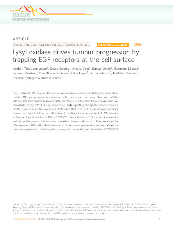 Lysyl oxidase drives tumour progression by trapping EGF receptors at the cell surface. Thumbnail