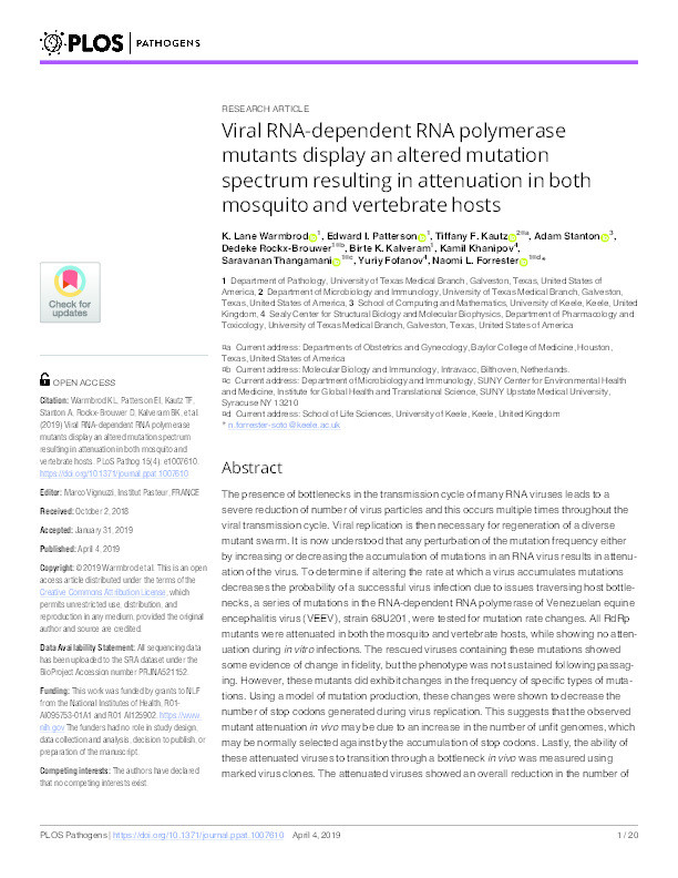 Viral RNA-dependent RNA polymerase mutants display an altered mutation spectrum resulting in attenuation in both mosquito and vertebrate hosts. Thumbnail