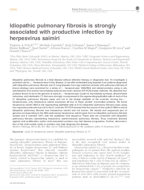 Idiopathic pulmonary fibrosis is strongly associated with productive infection by herpesvirus saimiri Thumbnail