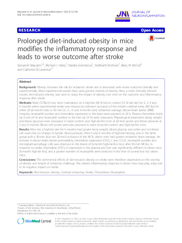 Prolonged diet-induced obesity in mice modifies the inflammatory response and leads to worse outcome after stroke. Thumbnail