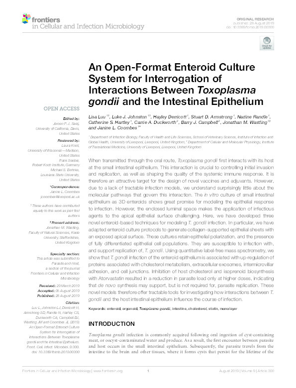 An Open-Format Enteroid Culture System for Interrogation of Interactions Between Toxoplasma gondii and the Intestinal Epithelium Thumbnail