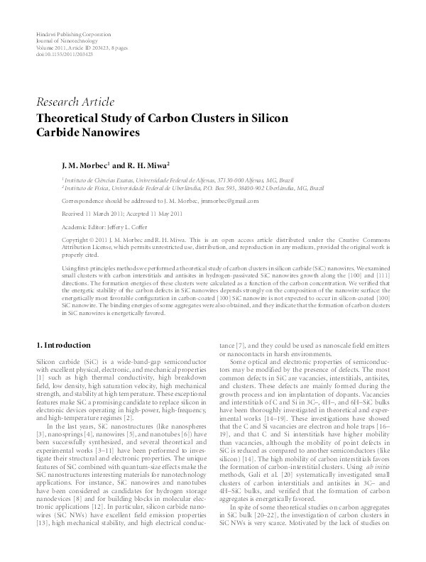 Theoretical Study of Carbon Clusters in Silicon Carbide Nanowires Thumbnail