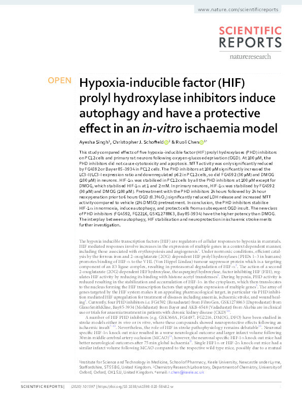 Hypoxia-inducible factor (HIF) prolyl hydroxylase inhibitors induce autophagy and have a protective effect in an in-vitro ischaemia model Thumbnail