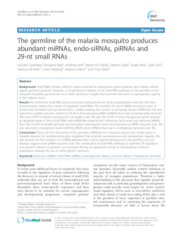 The germline of the malaria mosquito produces abundant miRNAs, endo-siRNAs, piRNAs and 29-nt small RNAs. Thumbnail
