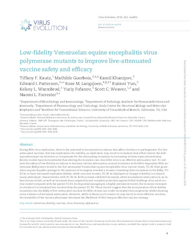 Low-fidelity Venezuelan equine encephalitis virus polymerase mutants to improve live-attenuated vaccine safety and efficacy. Thumbnail
