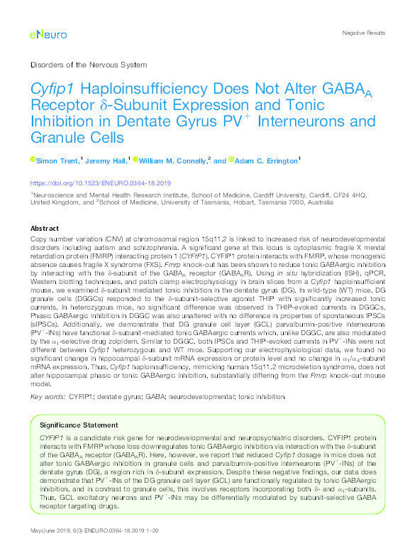 Cyfip1 Haploinsufficiency Does Not Alter GABAA Receptor d-Subunit Expression and Tonic Inhibition in Dentate Gyrus PV+ Interneurons and Granule Cells Thumbnail