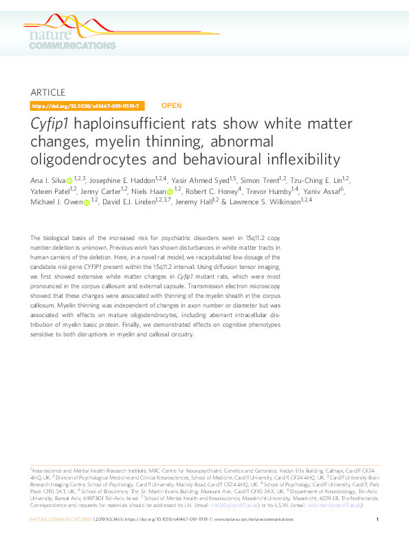 Cyfip1 haploinsufficient rats show white matter changes, myelin thinning, abnormal oligodendrocytes and behavioural inflexibility Thumbnail