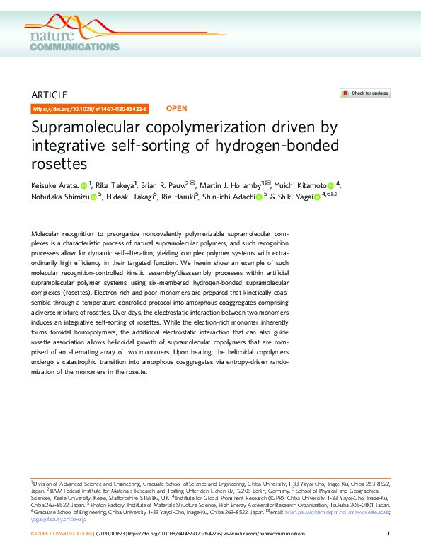 Supramolecular copolymerization driven by integrative self-sorting of hydrogen-bonded rosettes. Thumbnail