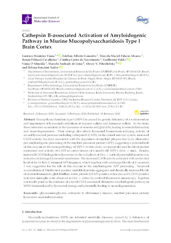 Cathepsin B-associated Activation of Amyloidogenic Pathway in Murine Mucopolysaccharidosis Type I Brain Cortex Thumbnail
