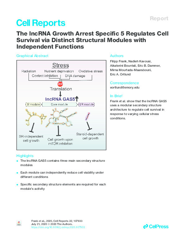 The lncRNA Growth Arrest Specific 5 Regulates Cell Survival via Distinct Structural Modules with Independent Functions Thumbnail