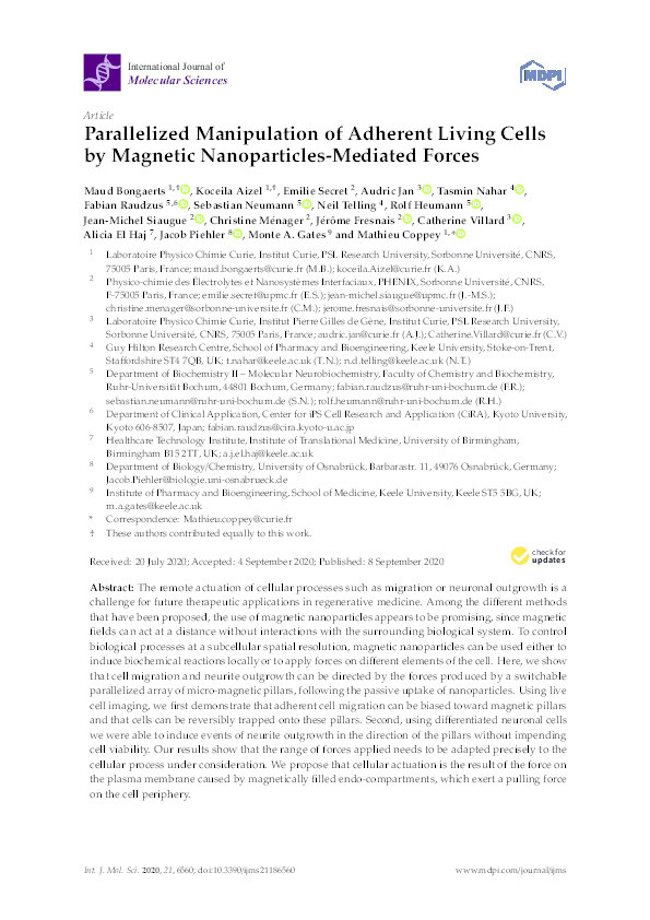 Parallelized Manipulation of Adherent Living Cells by Magnetic Nanoparticles-Mediated Forces Thumbnail