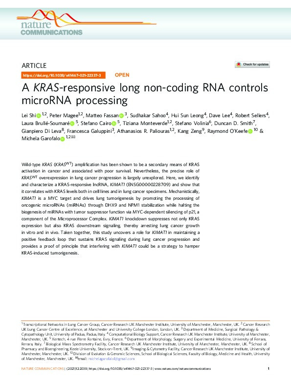 A KRAS-responsive long non-coding RNA controls microRNA processing Thumbnail