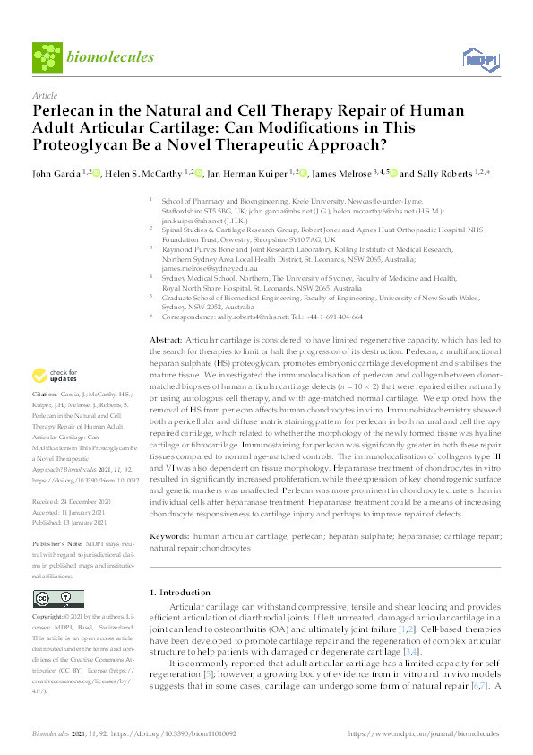Perlecan in the Natural and Cell Therapy Repair of Human Adult Articular Cartilage: Can Modifications in This Proteoglycan Be a Novel Therapeutic Approach? Thumbnail