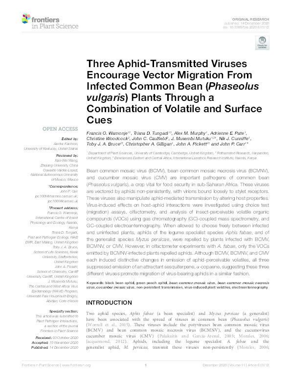 Three Aphid-Transmitted Viruses Encourage Vector Migration From Infected Common Bean (Phaseolus vulgaris) Plants Through a Combination of Volatile and Surface Cues Thumbnail