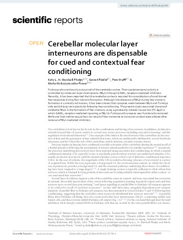 Cerebellar molecular layer interneurons are dispensable for cued and contextual fear conditioning. Thumbnail